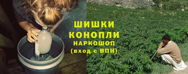 МДПВ Новодвинск