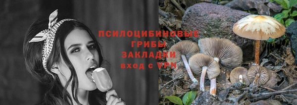 винт Новозыбков