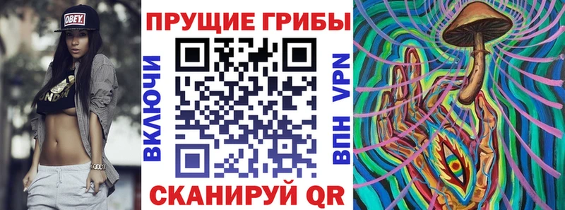 где купить наркоту  Кропоткин  Псилоцибиновые грибы GOLDEN TEACHER 